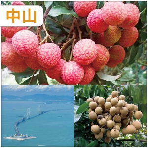 中山（10人成團）《四季果園任摘任食荔枝/龍眼》超值1天