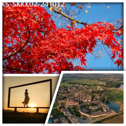 廣東旅遊線路|2024-10-12|秋日楓景 邂逅紅色童話世界 新豐嶺南紅葉世界賞萬株楓樹 翁源龍泰酒店 純玩2天