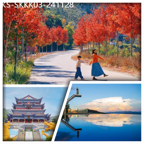 廣東旅遊線路|2024-11-28|新豐嶺南紅葉世界賞紅楓 雲天海溫泉度假村 任浸原始珍稀氡溫泉  純玩3天