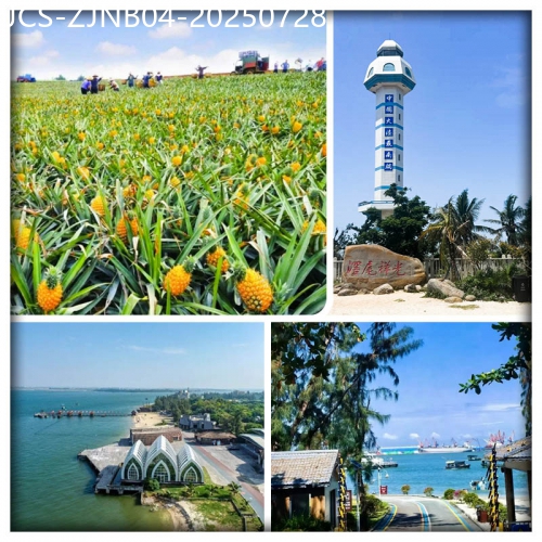 廣東旅遊線路|2025-07-28|湛江-玩轉粵西-吃遍粵西 鮮美湛江 徐聞菠蘿節 美食 沙灘 純玩4天